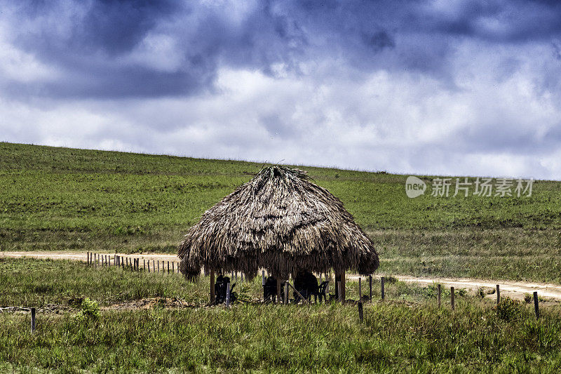 La Playita的土著小屋。委内瑞拉的La Gran Sabana